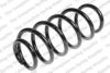 LESJ?FORS 4292623 Coil Spring